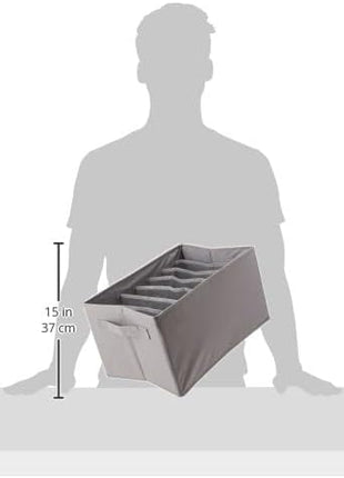 Amazon Basics Underwear Dresser Drawer Organizers, Pack of 2, Gray