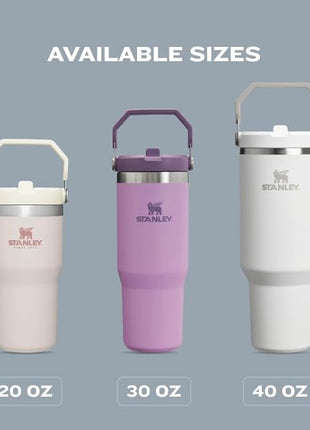 Stanley IceFlow Flip Straw Tumbler with Handle 30 oz | Twist On Lid and Flip Up Straw | Leak Resistant Water Bottle | Insulated Stainless Steel |BPA-Free | Rose Quartz