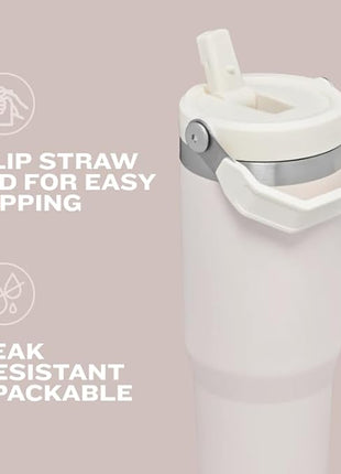 Stanley IceFlow Flip Straw Tumbler with Handle 20 oz | Twist On Lid and Flip Up Straw | Leak Resistant Water Bottle | Insulated Stainless Steel |BPA-Free | Charcoal