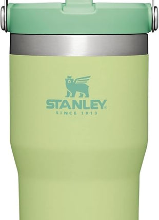 Stanley IceFlow Flip Straw Tumbler with Handle 20 oz | Twist On Lid and Flip Up Straw | Leak Resistant Water Bottle | Insulated Stainless Steel |BPA-Free | Citron