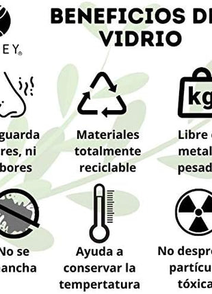 Libbey 6-Piece Fountain Shoppe Classic Ice Cream Soda Glass, 12-Ounce, Clear