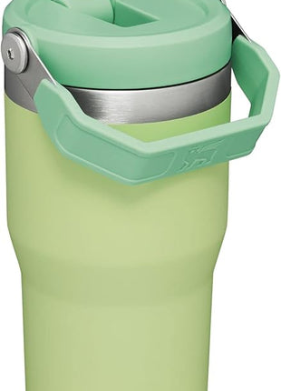 Stanley IceFlow Flip Straw Tumbler with Handle 20 oz | Twist On Lid and Flip Up Straw | Leak Resistant Water Bottle | Insulated Stainless Steel |BPA-Free | Citron