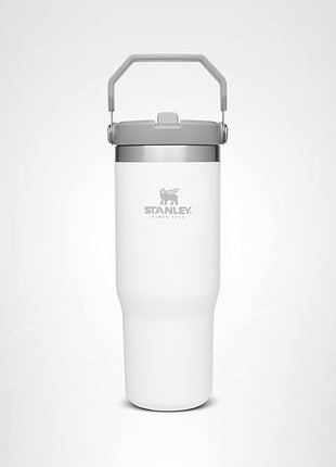 Stanley IceFlow Flip Straw Tumbler with Handle 30 oz | Twist On Lid and Flip Up Straw | Leak Resistant Water Bottle | Insulated Stainless Steel |BPA-Free | Polar