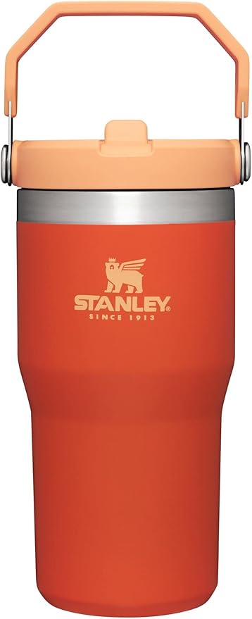 Stanley IceFlow Flip Straw Tumbler with Handle 20 oz | Twist On Lid and Flip Up Straw | Leak Resistant Water Bottle | Insulated Stainless Steel |BPA-Free | Tigerlily