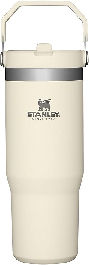 STANLEY IceFlow Flip Straw Tumbler with Handle 30 oz | Twist On Lid and Flip Up Straw | Leak Resistant Water Bottle | Insulated Stainless Steel |BPA-Free | Citron