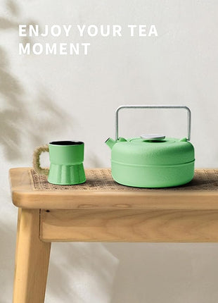 Toptier Teapot with Removable Infuser, Cast Iron Tea Kettle Stovetop Safe, Solid Geometry Cylinder Design Tea Pot Coated with Enameled Interior for 27 Ounce (800 ml), Emerald Green