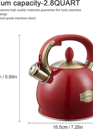 Tea Kettle -2.8 Quart Tea Kettles Stovetop Whistling Teapot Stainless Steel Tea Pots for Stove Top Whistle Tea Pot