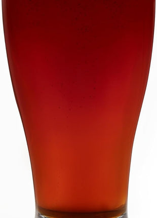 Libbey Classic Pub Beer Glasses Party Pack, Stackable, Modern Bar Glassware Set of 12, Large All Purpose Pint Beer Glasses for Stouts, Ales and More