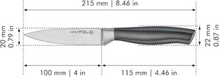 HENCKELS Graphite Razor-Sharp 4-inch Paring Knife, German Engineered Informed by 100+ Years of Mastery, Gray