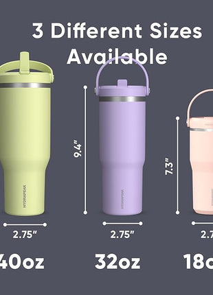 Hydrapeak Nomad 32 oz Tumbler with Handle and Straw Lid, Leakproof, Double Insulated, 32oz Cup, Stainless Steel | Navy