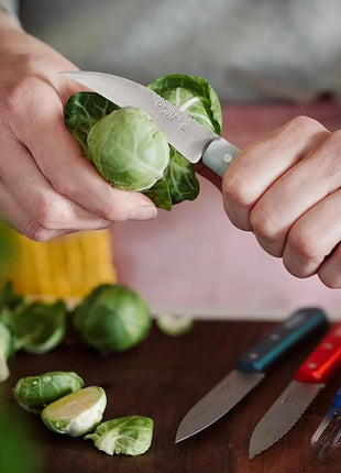 OPINEL Les Essentials - Small Kitchen 4 Piece Set - Paring, Serrated, Vegetable Knife, Peeler - Corrosion Resistant High Carbon Steel - Made in France (Primo)