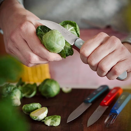 OPINEL Les Essentials - Small Kitchen 4 Piece Set - Paring, Serrated, Vegetable Knife, Peeler - Corrosion Resistant High Carbon Steel - Made in France (Primo)