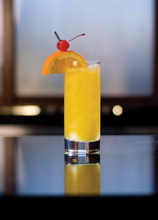 Zwiesel Glas Tritan Paris Barware Collection Beer/Long Drink Glass, 10.1-Ounce, Set of 6