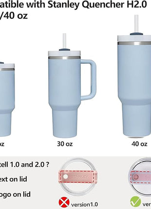 Silicone Spill Stopper Set Compatible with Stanley Cup 2.0 30oz & 40oz with Straw Cover (Set of 2, Chambary)