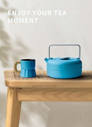 Toptier Teapot with Removable Infuser, Cast Iron Tea Kettle Stovetop Safe, Solid Geometry Cylinder Design Tea Pot Coated with Enameled Interior for 27 Ounce (800 ml), Blue