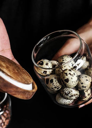 SAIOOL Set of 5 Kitchen Canisters,Thick, Stackable, Natural Style,Cookie, Rice and Spice Jars - Sugar or Flour Container - Big and Small Airtight Food Jar for Pantry