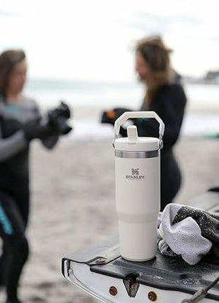 STANLEY IceFlow Flip Straw Tumbler with Handle 30 oz | Twist On Lid and Flip Up Straw | Leak Resistant Water Bottle | Insulated Stainless Steel |BPA-Free | Citron