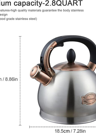 Tea Kettle -2.8 Quart Tea Kettles Stovetop Whistling Teapot Stainless Steel Tea Pots for Stove Top Whistle Tea Pot
