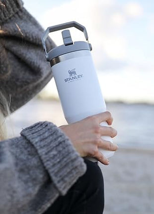 Stanley IceFlow Flip Straw Tumbler with Handle 30 oz | Twist On Lid and Flip Up Straw | Leak Resistant Water Bottle | Insulated Stainless Steel |BPA-Free | Polar