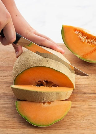 Rada Cutlery Slicer Knife, Black Handle, Pack of 6