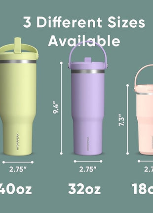 Hydrapeak Nomad 32 oz Tumbler with Handle and Straw Lid, Leakproof, Double Insulated, 32oz Cup Stainless Steel (Pale Sage)