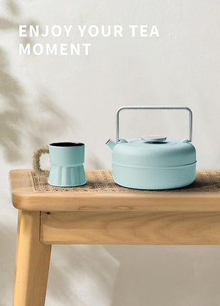 Toptier Teapot with Removable Infuser, Cast Iron Tea Kettle Stovetop Safe, Solid Geometry Cylinder Design Tea Pot Coated with Enameled Interior for 27 Ounce (800 ml), Babyblue