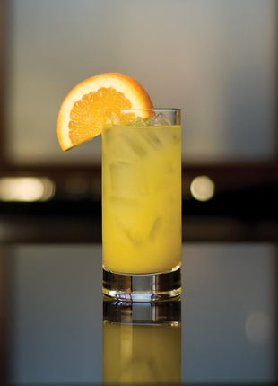 Zwiesel Glas Tritan Paris Barware Collection Beer/Long Drink Glass, 10.1-Ounce, Set of 6