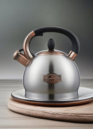 Tea Kettle -2.8 Quart Tea Kettles Stovetop Whistling Teapot Stainless Steel Tea Pots for Stove Top Whistle Tea Pot