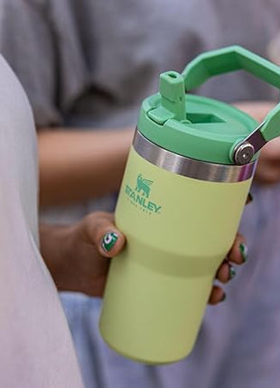 Stanley IceFlow Flip Straw Tumbler with Handle 20 oz | Twist On Lid and Flip Up Straw | Leak Resistant Water Bottle | Insulated Stainless Steel |BPA-Free | Citron
