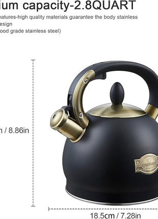Stove Top Whistling Tea Kettle- Stainless Steel Teakettle Teapot with Ergonomic Handle 2.6 Quart(Black)