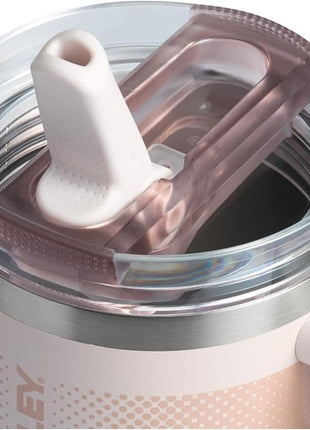 STANLEY Quencher ProTour Flip Straw Tumbler with Leakproof Lid | Built-In Straw & Handle | Cupholder Compatible for Travel | Insulated Stainless Steel Cup | BPA-Free