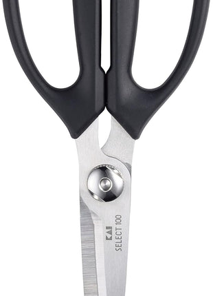 Kitchen Scissors (DH-3005)