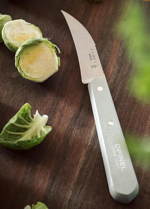 Opinel Les Essentials Small Kitchen 4 Piece Knife Set - Paring Knife, Serrated Knife, Peeler, Vegetable Knife, Corrosion Resistant High Carbon Steel, Made in France (50s)