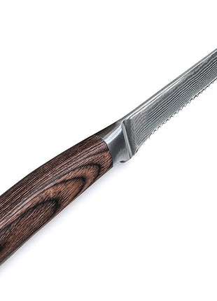 Wakoli EDIB 4-Piece Damascus Steak Knife Set – Professional Dining Kitchen Knives with VG10 Core Blades, 67-Layer Damascus Steel & Ergonomic Pakkawood Handles – Premium Steak Cutlery in Gift Box