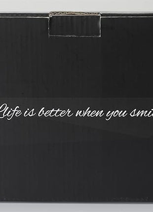 LIBWYS 2 Pack Double Walled Coffee Cups Glasses Mugs, 12oz Espresso Cappuccino Latte Tea Cups with Handle, Heat Resistant Borosilicate Clear Glasses 350ml