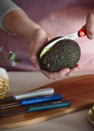 Opinel Les Essentials Small Kitchen 4 Piece Knife Set - Paring Knife, Serrated Knife, Peeler, Vegetable Knife, Corrosion Resistant High Carbon Steel, Made in France (Art Deco)