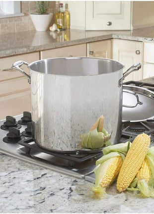 Cuisinart 12-Quart Stockpot w/Lid, Chef's Classic Collection, Silver, 766-26AP1