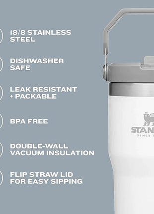 Stanley IceFlow Flip Straw Tumbler with Handle 20 oz | Twist On Lid and Flip Up Straw | Leak Resistant Water Bottle | Insulated Stainless Steel |BPA-Free | Citron