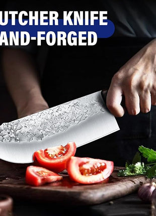 DRAGON RIOT Chef Butcher Knife Set for Meat Cutting, 4 Pcs Japanese Forged Chef Knives Set for Men and Women Gift for Men