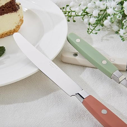 ANNOVA Silverware Set, Retro/Rivet Colorful Stainless Steel Tableware Kitchen Flatware Set Utensils, Includes Dinner Knives, Forks, Spoons, Salad Forks & Dessert Spoons (Morandi Mix, 20 Pieces)