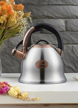 Tea Kettle -2.2 Quart Tea Kettles Stovetop Whistling Teapot Stainless Steel Tea Pots for Stove Top Whistle Tea Pot