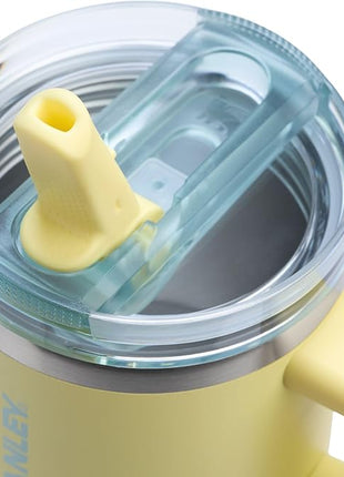 STANLEY Quencher ProTour Flip Straw Tumbler with Leakproof Lid | Built-In Straw & Handle | Cupholder Compatible for Travel | Insulated Stainless Steel Cup | BPA-Free