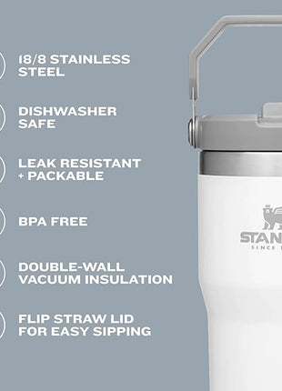 Stanley IceFlow Stainless Steel Tumbler - Vacuum Insulated Water Bottle for Home, Office or Car Reusable Cup with Straw Leak Resistant Flip Cold for 12 Hours or Iced for 2 Days