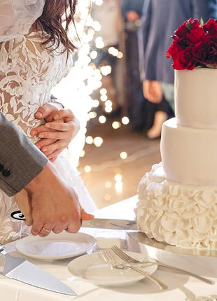 Cake Cutting Set for Wedding Cake Knife and Server Set, Cake Cutter and Pie Spatula, Cake Server and Knife Set of 2 (Plastic Handle, Silver)