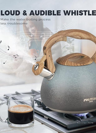 POLIVIAR Tea Kettle, 2.7 Quart Stovetop Tea Kettle, Audible Whistling Teapot with Crackle Finish, Food Grade Stainless Steel for Anti-Rust, Anti Hot Handle, Suitable for All Heat Sources (JX2023-LYL)