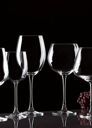 Lenox Tuscany Classics 4pc Pinot Grigio Glass Set, 2.55 LB, Clear