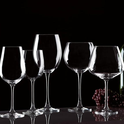 Lenox Tuscany Classics 4pc Pinot Grigio Glass Set, 2.55 LB, Clear