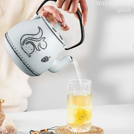 Toptier Teapot with Removable Infuser, Cast Iron Tea Kettle Stovetop Safe, Squirrel Design Tea Pot Coated with Enameled Interior for 32 Ounce (950 ml), Light Blue