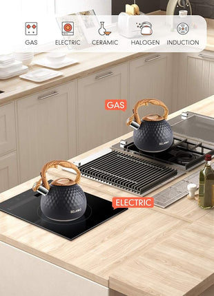 BELANKO 2.7 Quart Tea Kettle for Stovetop - Food Grade Stainless Steel with Diamond Texture, Designer Teapot Look, Cool-Touch Wood Pattern Handle, Whistling Spout - Matte Black