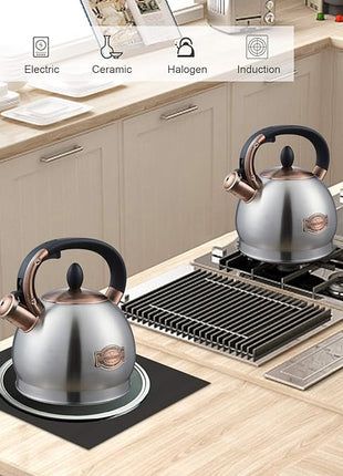 Tea Kettle -2.8 Quart Tea Kettles Stovetop Whistling Teapot Stainless Steel Tea Pots for Stove Top Whistle Tea Pot